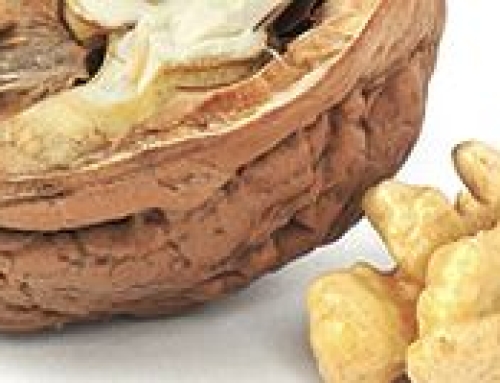 Breast Cancer risk reduced with walnuts